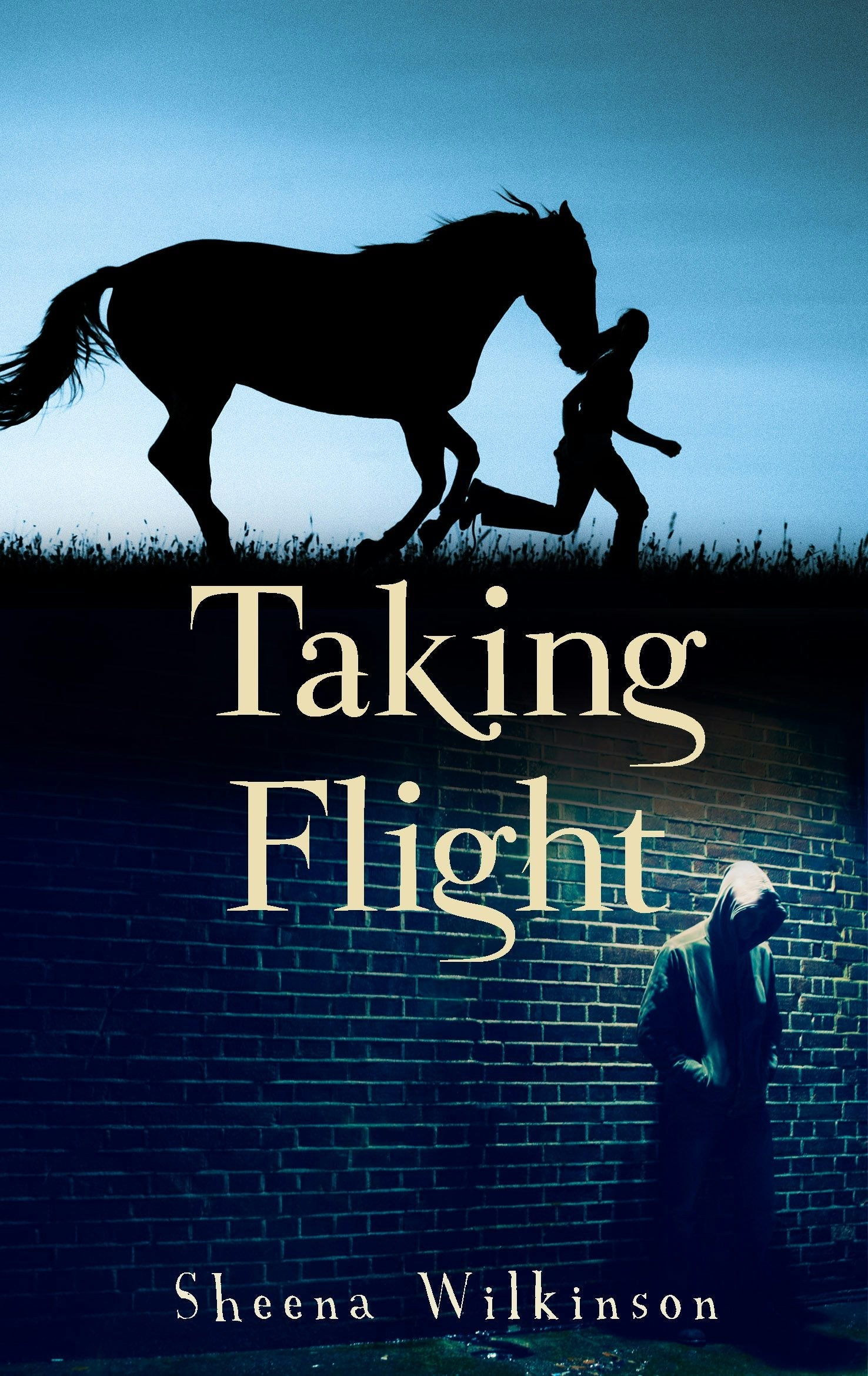 Book cover image for Taking Flight ISBN: 9781908195647
